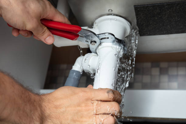 Best Mold removal after water damage  in Planada, CA
