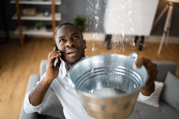 Best Water damage restoration near me  in Planada, CA