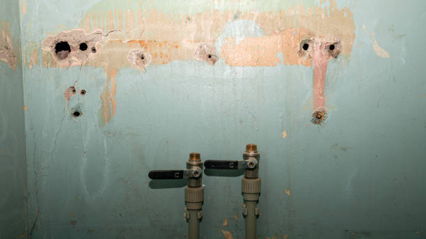Best Emergency water extraction  in Planada, CA